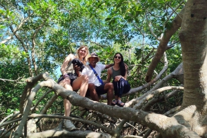 Cartagena: Sail in the mangroves of Cartagena