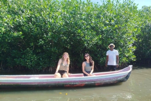 Cartagena: Sail in the mangroves of Cartagena