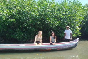 Cartagena: Sail in the mangroves of Cartagena