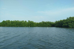 Cartagena: Sail in the mangroves of Cartagena