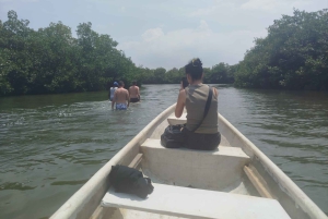 Cartagena: Sail in the mangroves of Cartagena