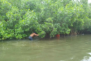 Cartagena: Sail in the mangroves of Cartagena
