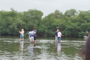 Cartagena: Sail in the mangroves of Cartagena