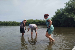Cartagena: Sail in the mangroves of Cartagena