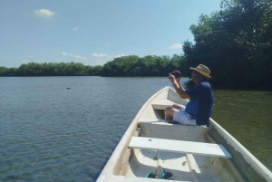 Cartagena: Sail in the mangroves of Cartagena