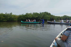 Cartagena: Sail in the mangroves of Cartagena