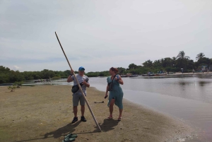 Cartagena: Sail in the mangroves of Cartagena
