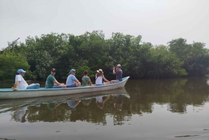 Cartagena: Sail in the mangroves of Cartagena