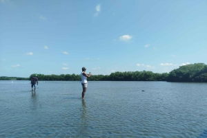 Cartagena: Sail in the mangroves of Cartagena