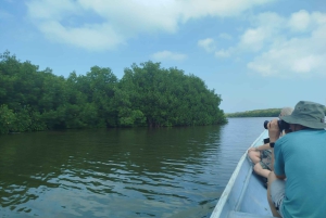 Cartagena: Sail in the mangroves of Cartagena