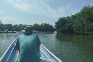 Cartagena: Sail in the mangroves of Cartagena