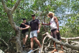 Cartagena: Sail in the mangroves of Cartagena