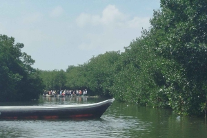Cartagena: Sail in the mangroves of Cartagena