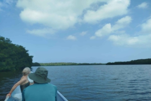 Cartagena: Sail in the mangroves of Cartagena