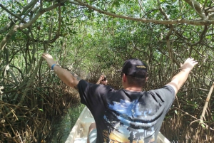 Cartagena: Sail in the mangroves of Cartagena
