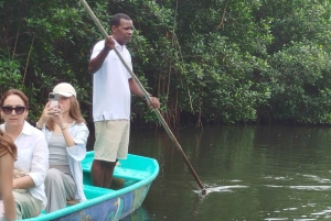 Cartagena: Sail in the mangroves of Cartagena