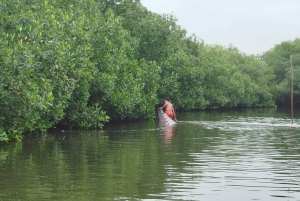 Cartagena: Sail in the mangroves of Cartagena