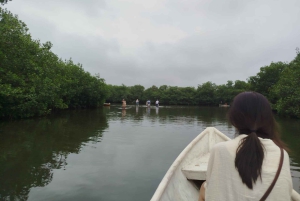 Cartagena: Sail in the mangroves of Cartagena