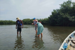 Cartagena: Sail in the mangroves of Cartagena