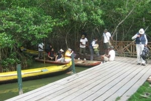 Cartagena: Navega nos manguezais de Cartagena