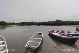 Cartagena: Navega nos manguezais de Cartagena