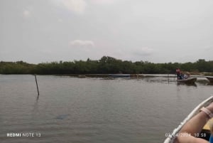 Cartagena: Navega nos manguezais de Cartagena