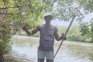 Cartagena: Navega nos manguezais de Cartagena