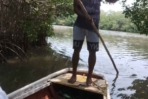 Cartagena: Navega nos manguezais de Cartagena