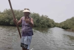 Cartagena: Navega nos manguezais de Cartagena