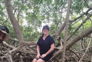 Cartagena: Navega nos manguezais de Cartagena