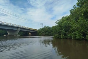 Cartagena: Navega nos manguezais de Cartagena