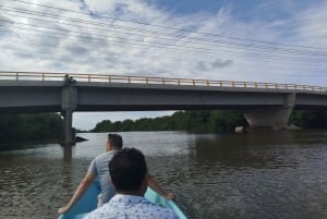 Cartagena: Navega nos manguezais de Cartagena