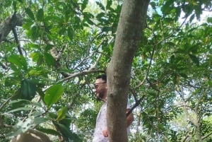 Cartagena: Navega nos manguezais de Cartagena