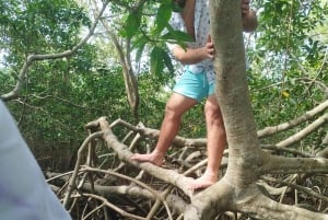 Cartagena: Navega nos manguezais de Cartagena