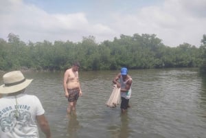 Cartagena: Navega nos manguezais de Cartagena