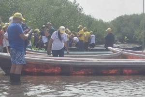Cartagena: Navega nos manguezais de Cartagena
