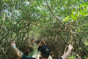 Cartagena: Navega nos manguezais de Cartagena