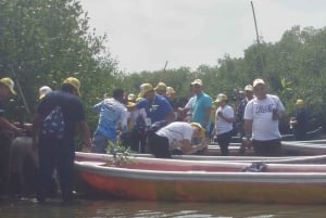 Cartagena: Navega nos manguezais de Cartagena