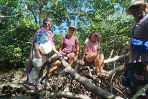 Cartagena: Navega nos manguezais de Cartagena