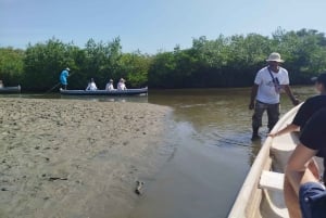 Cartagena: Navega nos manguezais de Cartagena