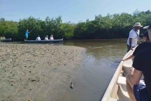 Cartagena: Navega nos manguezais de Cartagena
