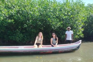 Cartagena: Navega nos manguezais de Cartagena