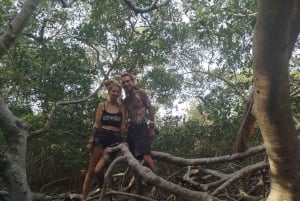 Cartagena: Navega nos manguezais de Cartagena