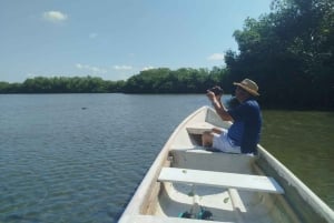 Cartagena: Navega nos manguezais de Cartagena