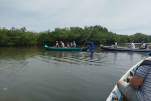 Cartagena: Navega nos manguezais de Cartagena