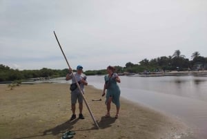 Cartagena: Navega nos manguezais de Cartagena