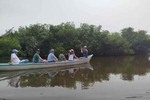 Cartagena: Navega nos manguezais de Cartagena