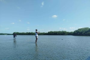 Cartagena: Navega nos manguezais de Cartagena