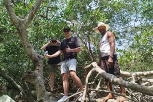 Cartagena: Navega nos manguezais de Cartagena