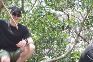 Cartagena: Navega nos manguezais de Cartagena